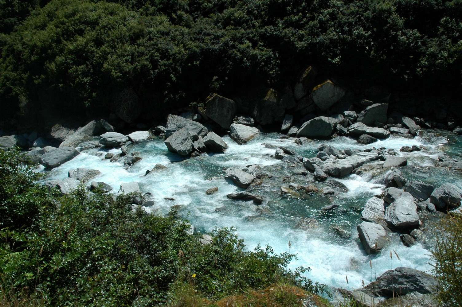 137   25 01   Fox Glacier   Oamura